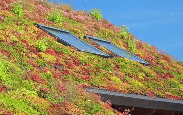 Markinch living roof systems