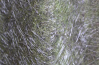 Markinch fibreglass roof work